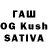 Галлюциногенные грибы Psilocybine cubensis Soslan Kochiev