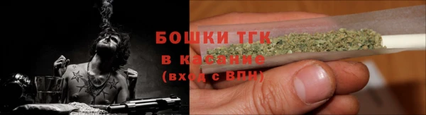 стаф Киренск