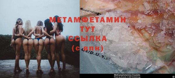 сатива Кущёвская