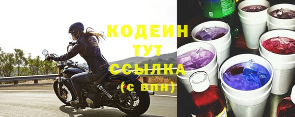 стаф Киренск