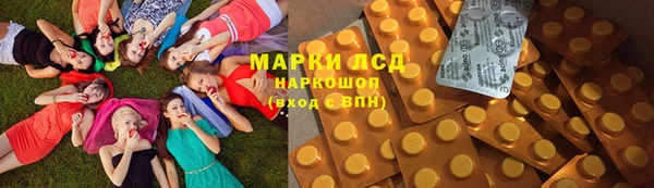 стаф Киренск
