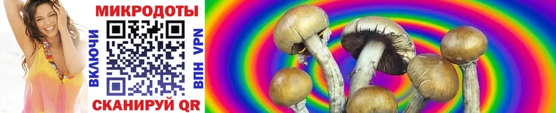 Купить закладки  Вихоревка  Галлюциногенные грибы ЛСД 